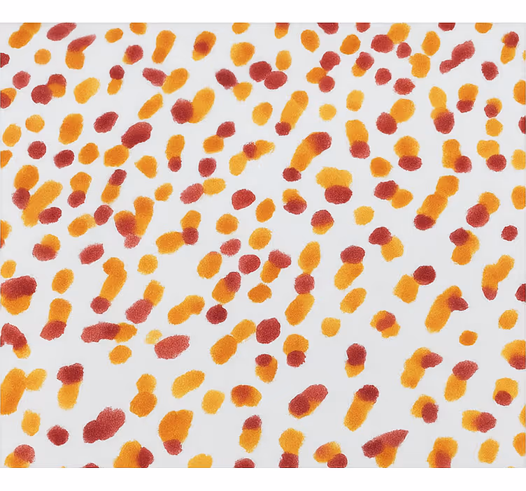 Rollo Fenster Jugendzimmer orange und rote punkte - TenStickers