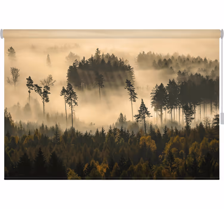 Rollo fenster baum Ätherischer morgennebel - TenStickers