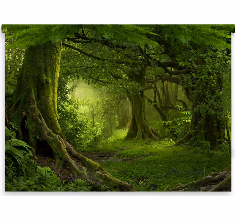 Rollo fenster baum grünes waldvergnügen - TenStickers