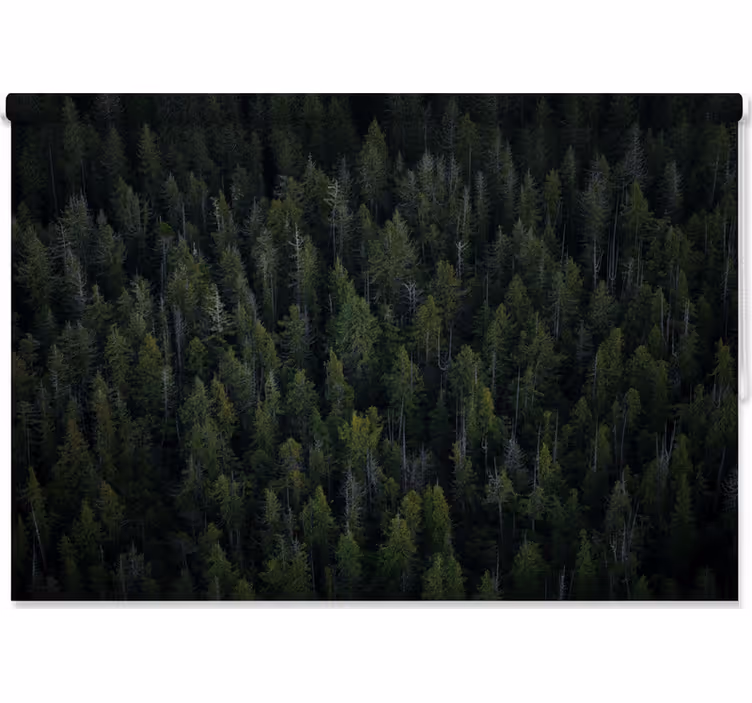 Rollo fenster baum mit tiefer waldstruktur - TenStickers