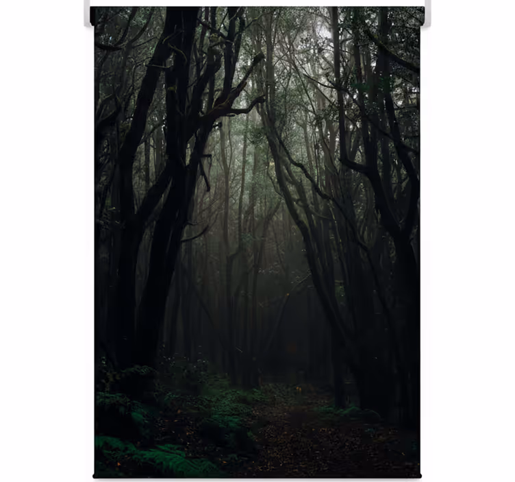Rollo fenster baum dunkle mystische wälder - TenStickers