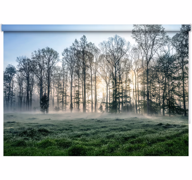 Rollo fenster baum nebeliger morgenwiesen - TenStickers