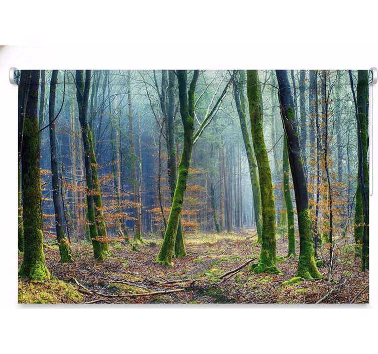 Rollo fenster baum nebelwald japandi - TenStickers