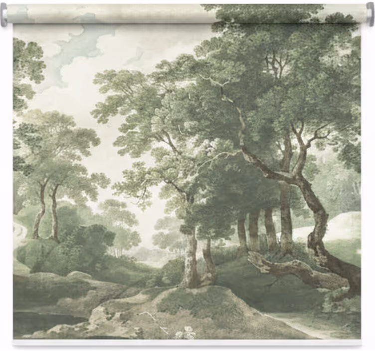 Rollo fenster baum klassische zeitlose natur - TenStickers