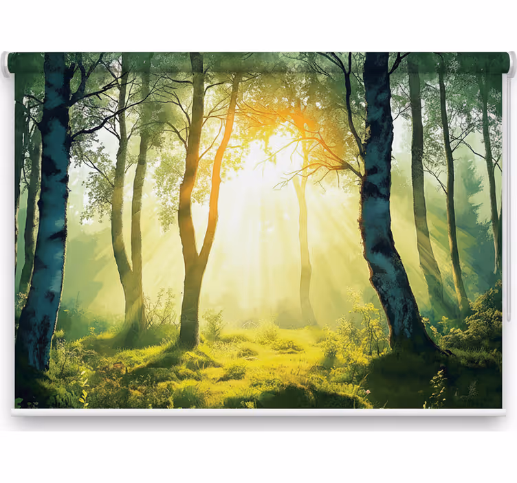Rollo fenster baum sonnenverwöhnte birke wandbild - TenStickers