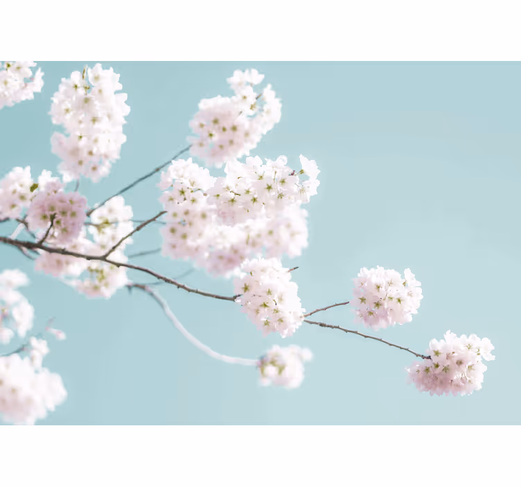 Küchenfenster rollo mit elegantem blumigen design - TenStickers