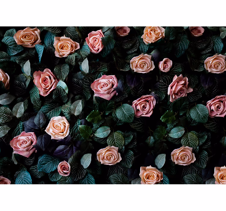 Küchenfenster rollo mit rosa korallenrosen - TenStickers