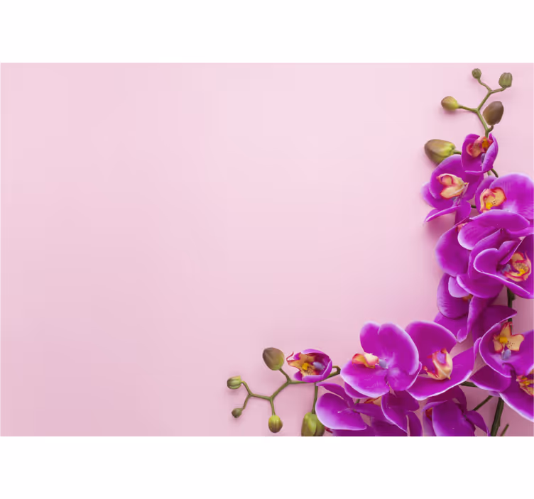 Küchenfenster rollo mit pinkem hintergrund und orchidee - TenStickers