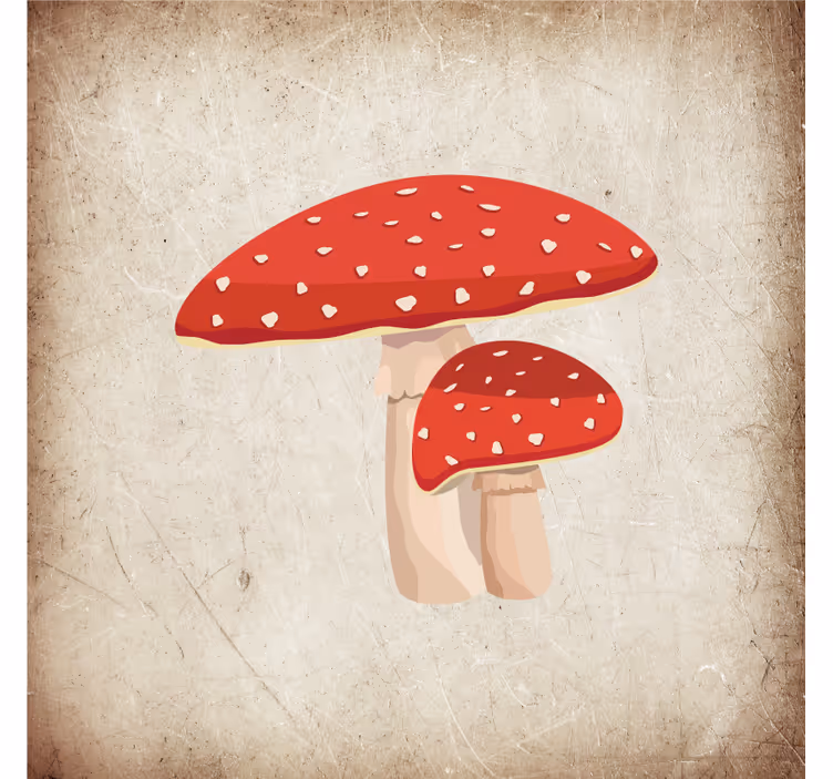 Küchenfenster rollo mit fliegenpilz-illustration - TenStickers