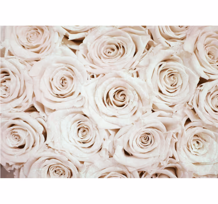 Rollo fenster weiß mit elegantem rosa blumendesign - TenStickers