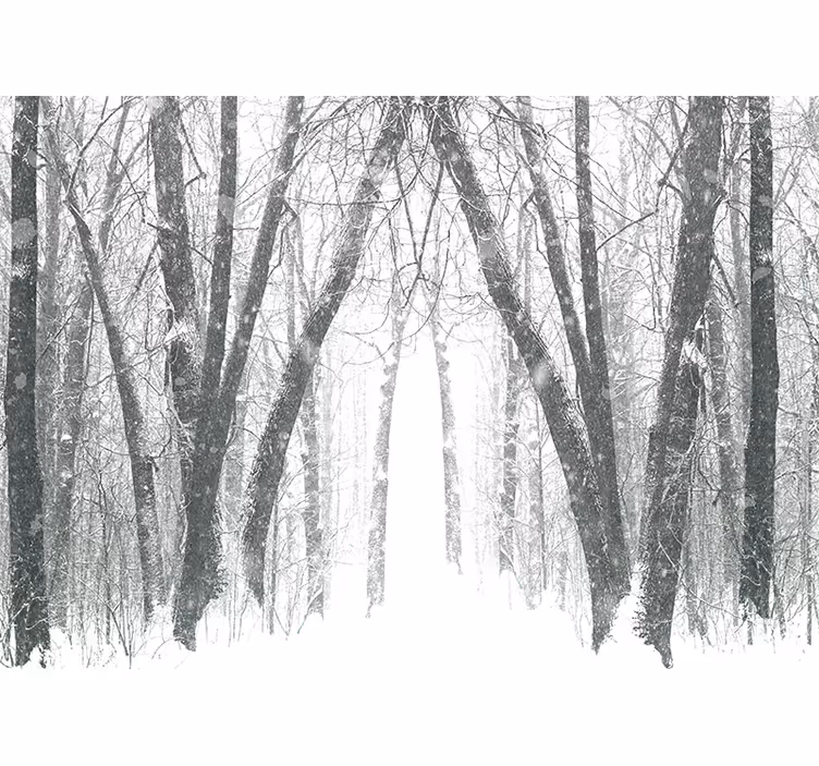Rollo fenster weiß winterbäume im wald - TenStickers