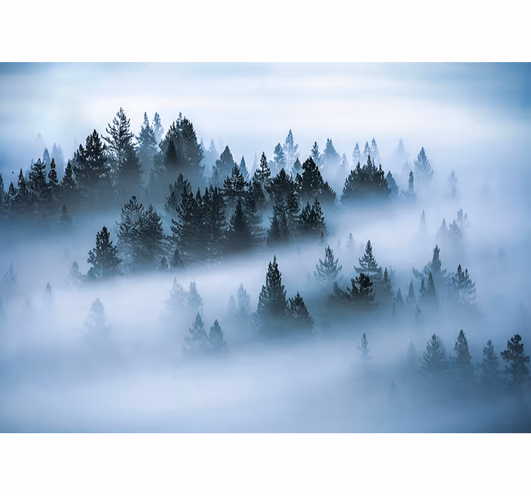 Rollo fenster wohnzimmer morgendlicher nebel - TenStickers