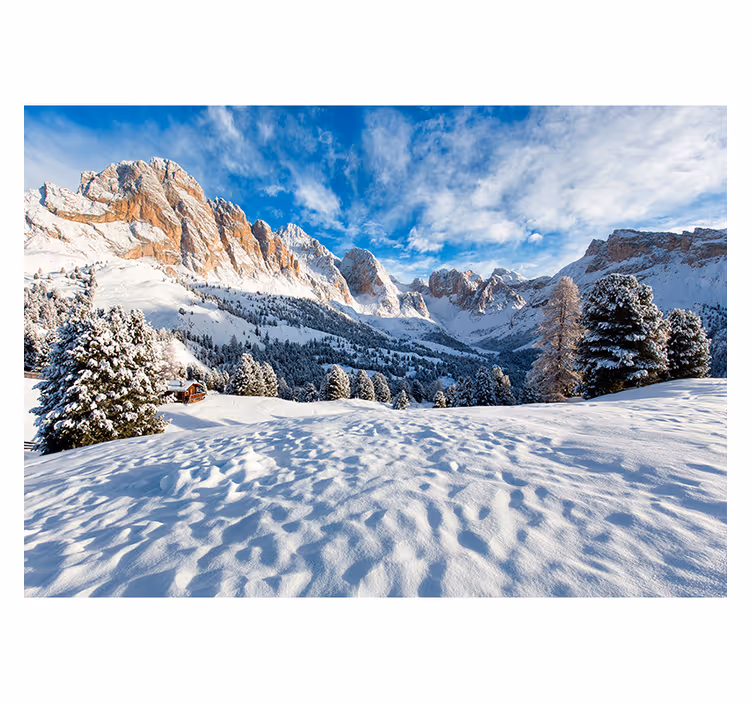 Rollo fenster wohnzimmer schneebedeckte berglandschaft - TenStickers