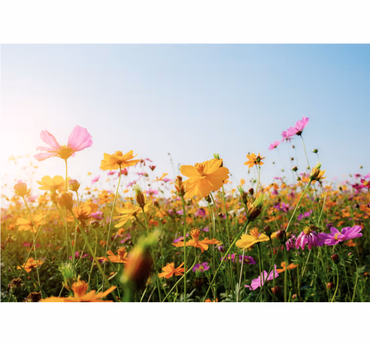 Rollo fenster wohnzimmer blumenmix - TenStickers