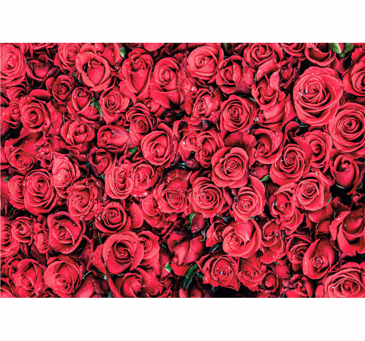 Rollo fenster wohnzimmer rote blumen mit strukturhintergrund - TenStickers