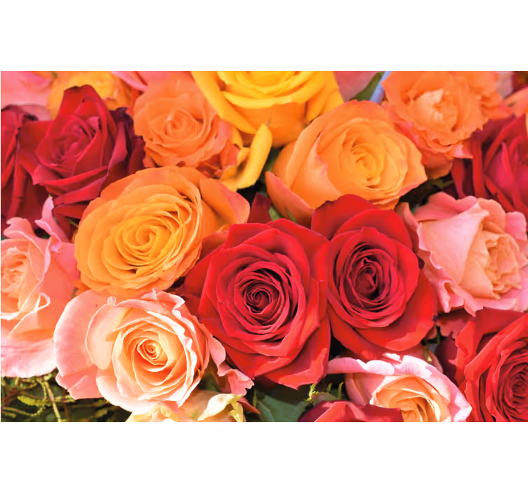 Rollo fenster wohnzimmer mit verschiedenen rosenblumen - TenStickers