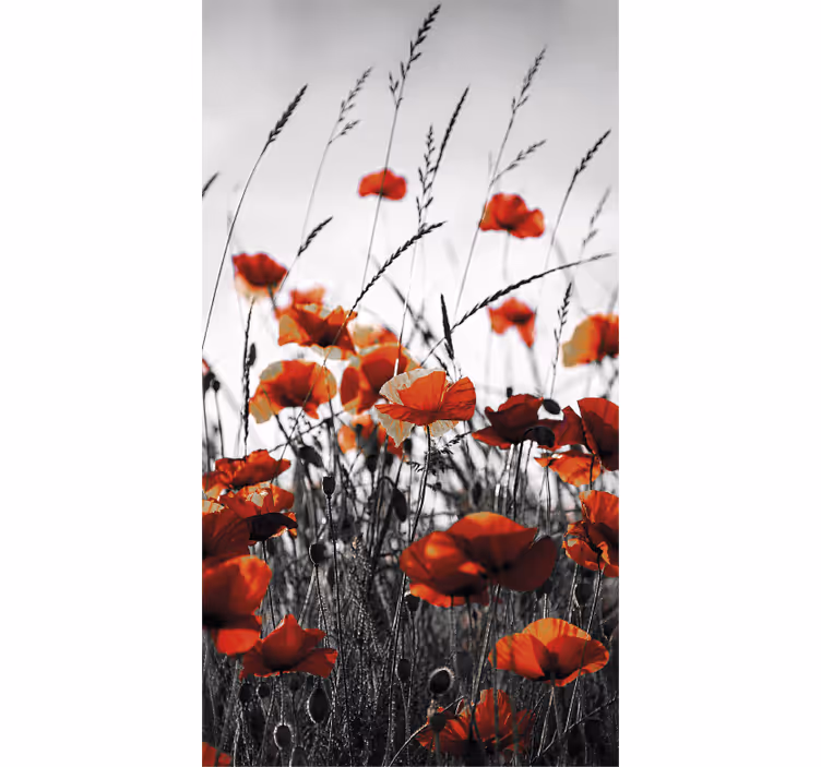Rollo fenster wohnzimmer mit roten schwarzen mohnblumen - TenStickers