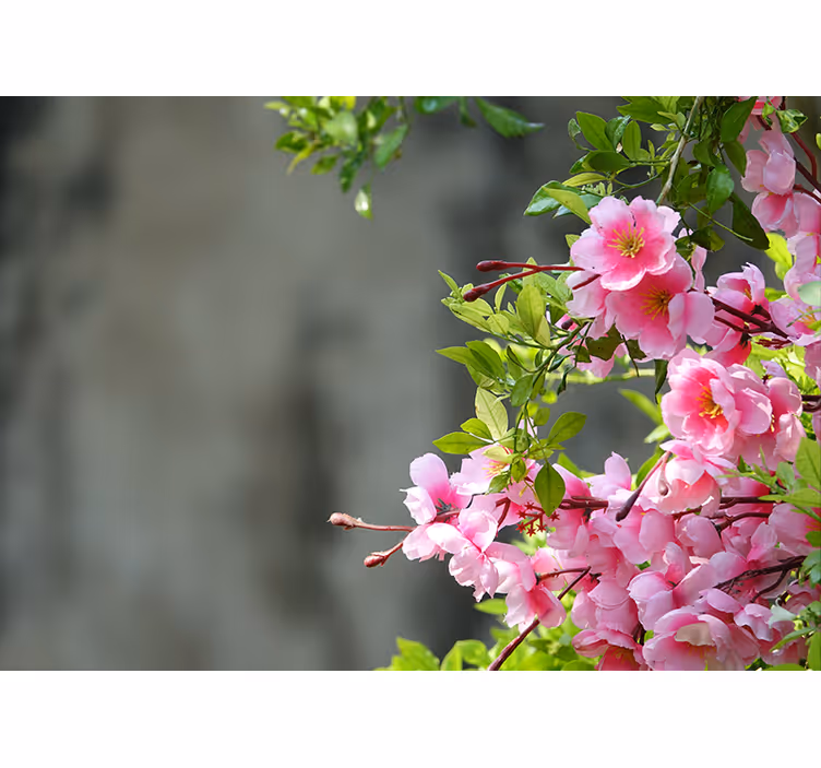 Rollo fenster wohnzimmer mit 3d rosa blumen - TenStickers