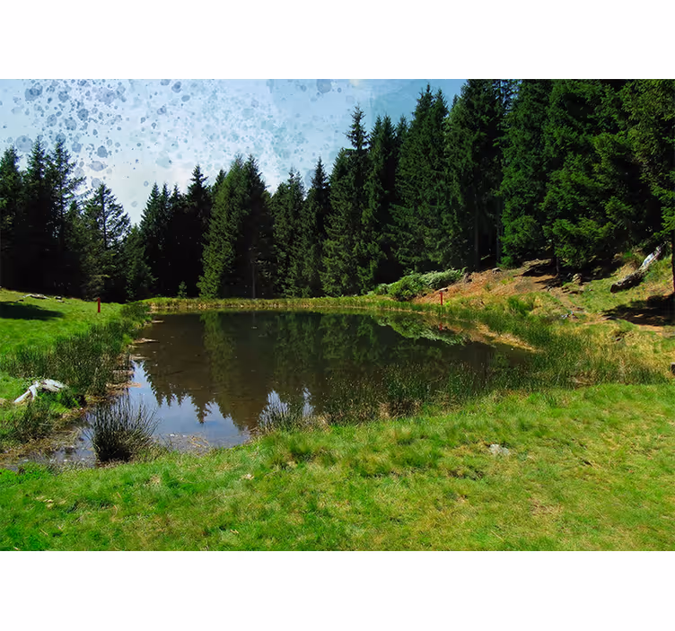 Rollo fenster wohnzimmer grünes feld mit bäumen und see - TenStickers