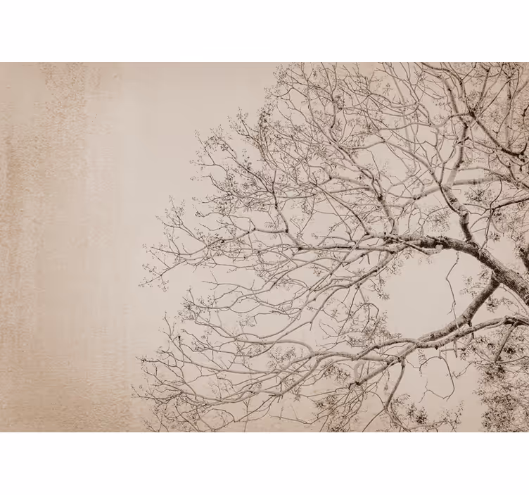 Rollo fenster beige im japandi floralen stil - TenStickers