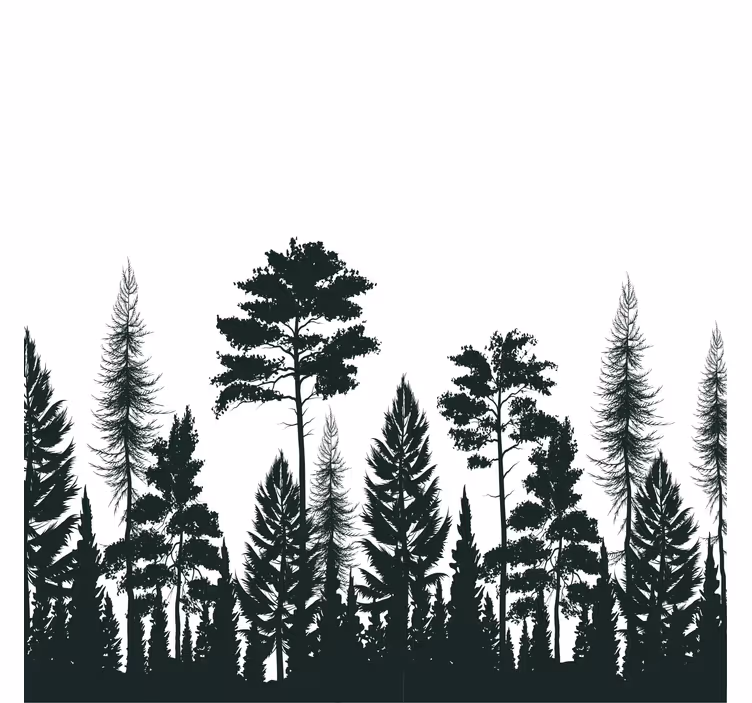 Rollo fenster wohnzimmer silhouette von kiefernbäumen - TenStickers