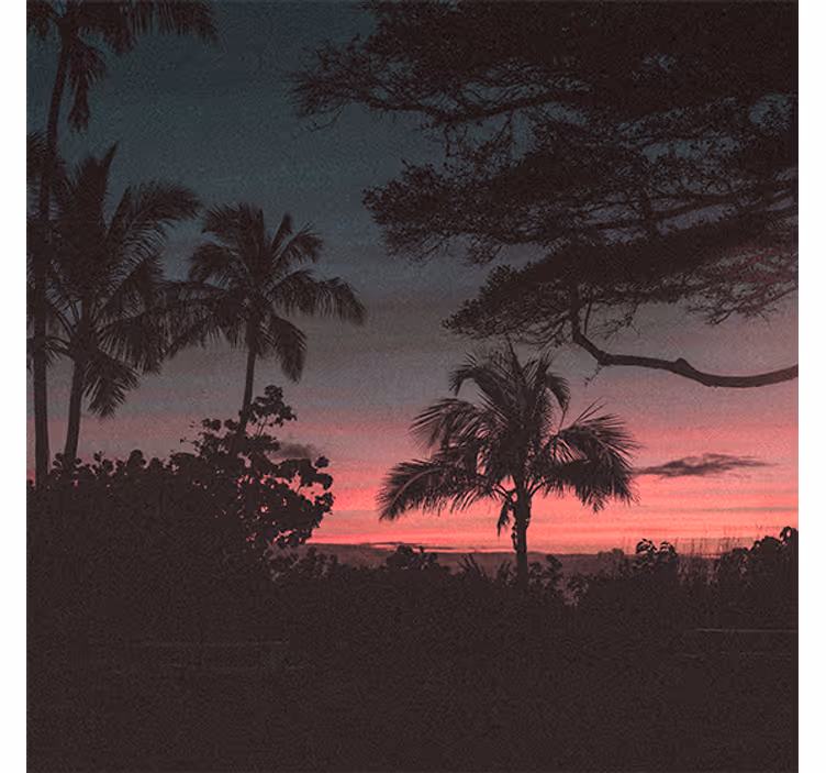 Rollo fenster wohnzimmer bäume rosa himmel sonnenuntergang - TenStickers