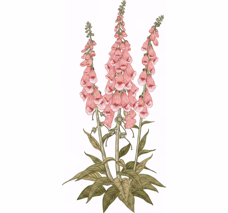 Rollo fenster wohnzimmer mit rosa blumen - TenStickers
