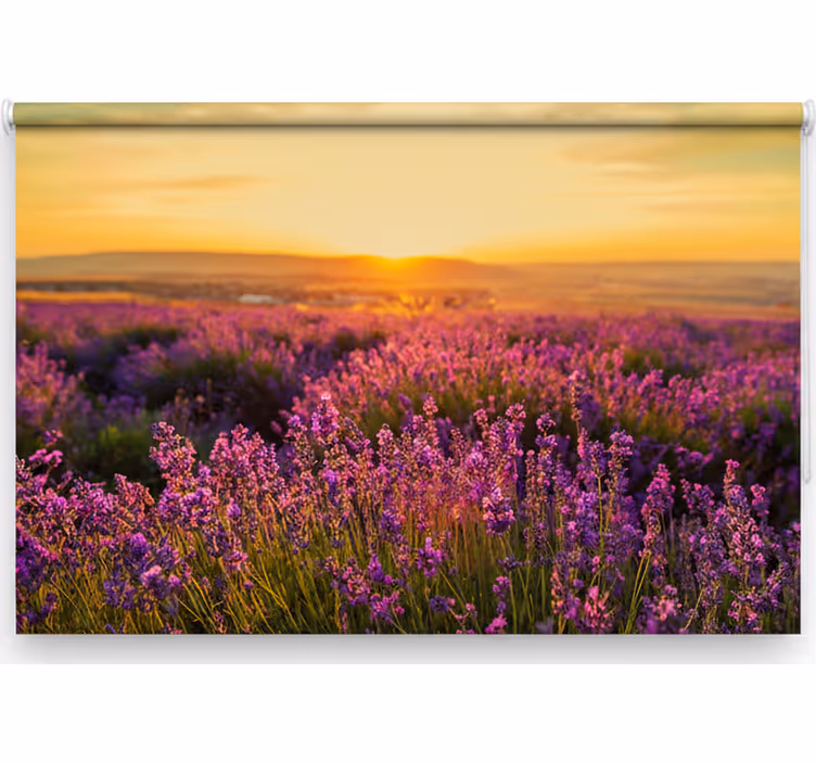 Rollo fenster schlafzimmer panoramablick provence - TenStickers