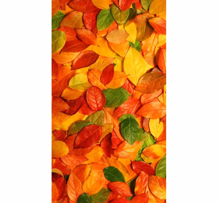 Küchenfenster rollo mit herbstlichen blättern - TenStickers