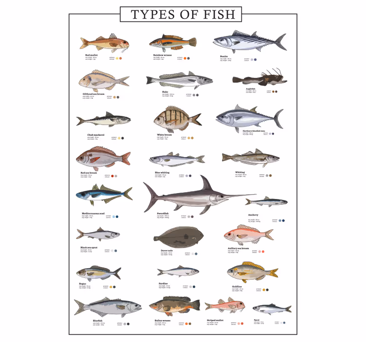 Küchenfenster rollo mit fischen - TenStickers