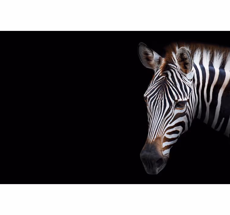 Rollo fenster schwarz mit zebra muster - TenStickers