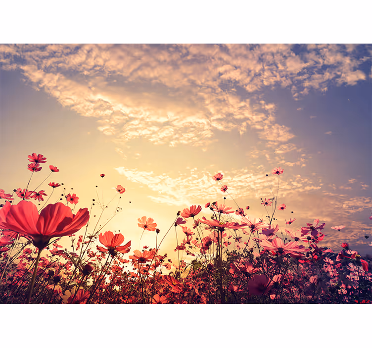 Rollo fenster schlafzimmer mit blumenlandschaft - TenStickers