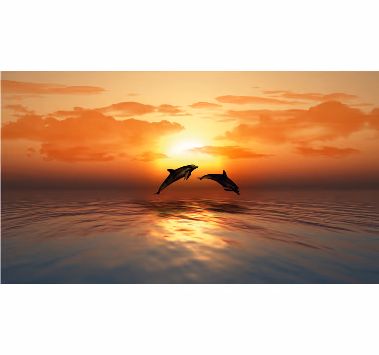 Rollo fenster badezimmer 3d schwimmende delfine - TenStickers