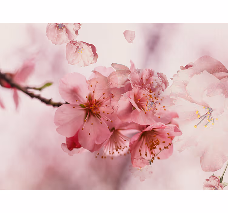 Rollo fenster badezimmer badblumen dekoration - TenStickers