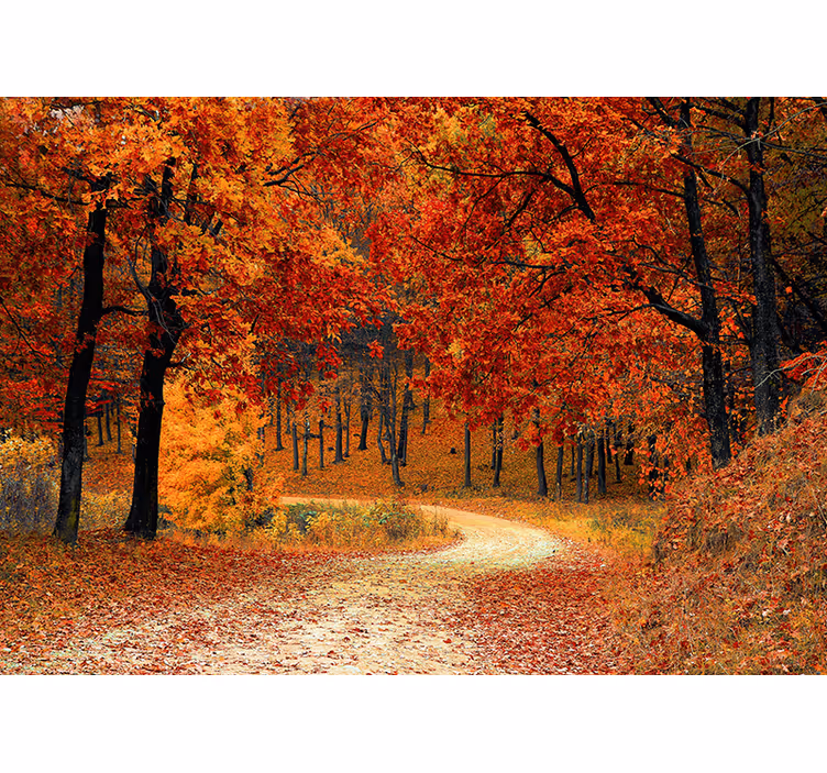 Rollo fenster orange mit herbstbäumen muster - TenStickers