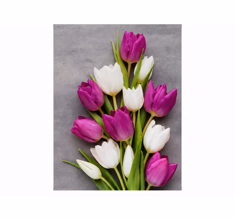 Rollo fenster lila tulpen echt - TenStickers