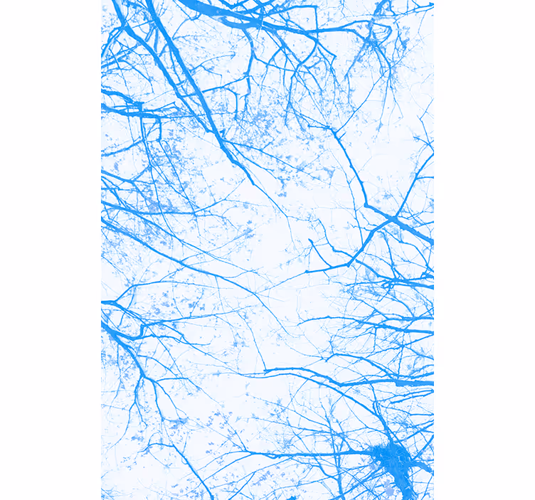 Rollo Fenster Baum blaue Äste - TenStickers