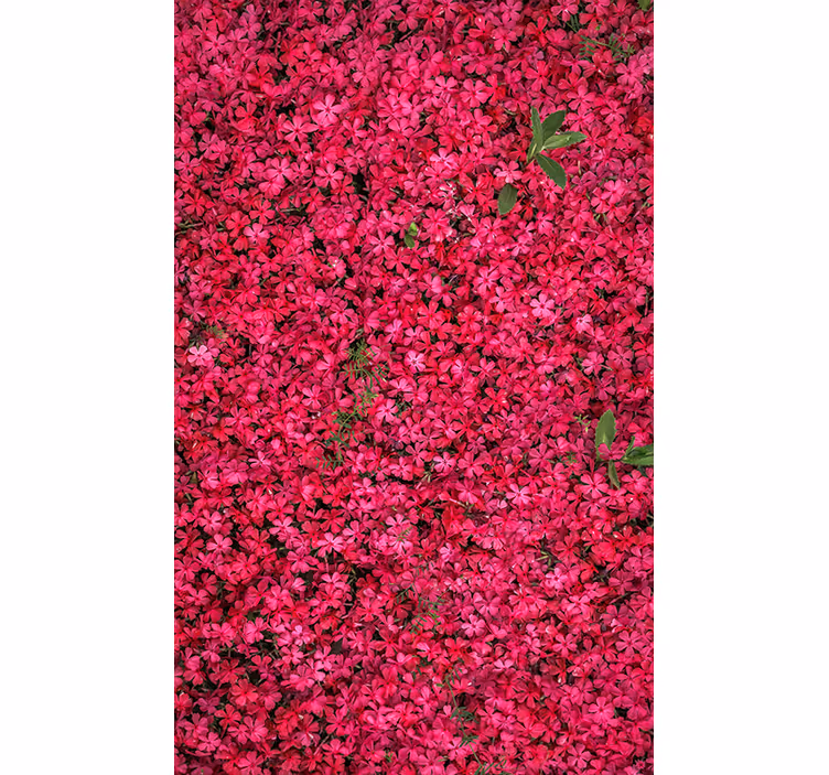 Rollo Fenster Blumen lebendige fülle - TenStickers