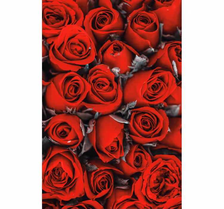 Rollo mit Blumen Rote rosen romantisch - TenStickers