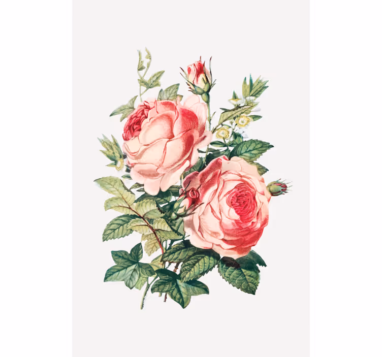 Rollo Fenster Blumen romantische rosenblüten - TenStickers
