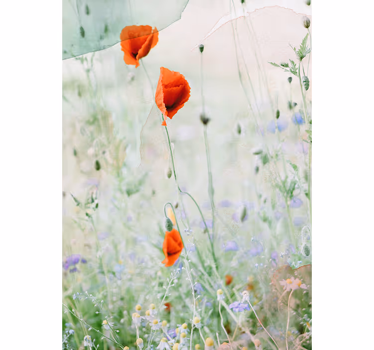 Rollo mit Blumen Verwischte rote mohnblumen - TenStickers