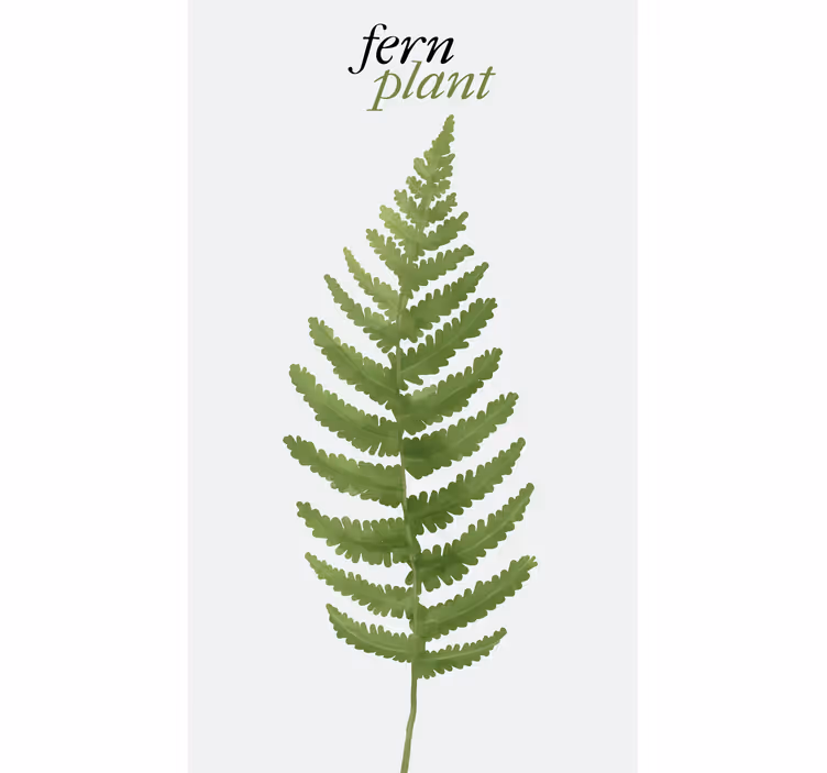 Rollo mit Sprüchen Farnpflanze minimalistisch - TenStickers