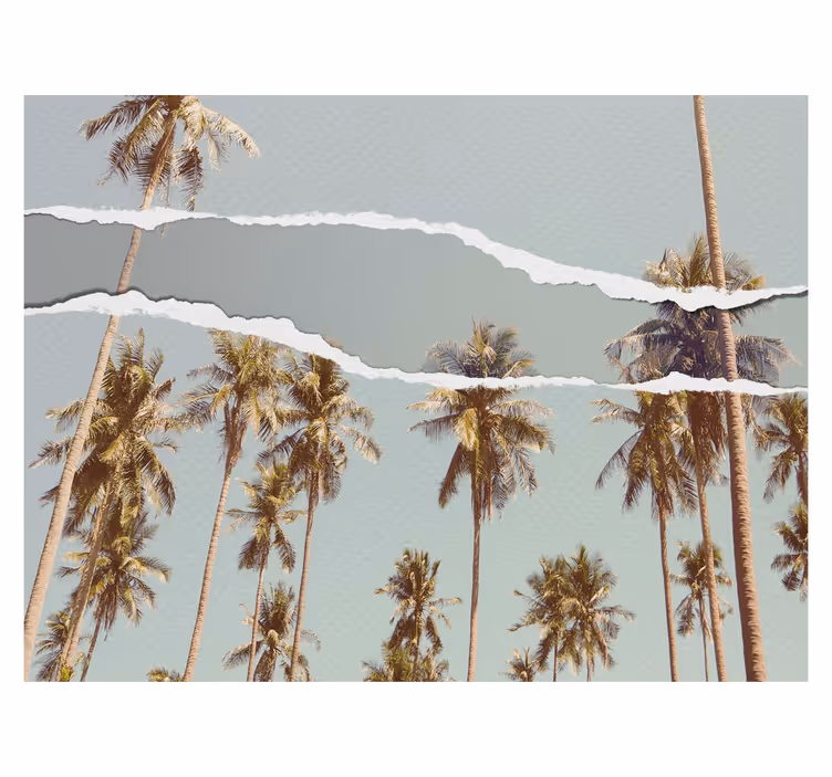 Rollo Fenster Baum palmen-sommer-design - TenStickers
