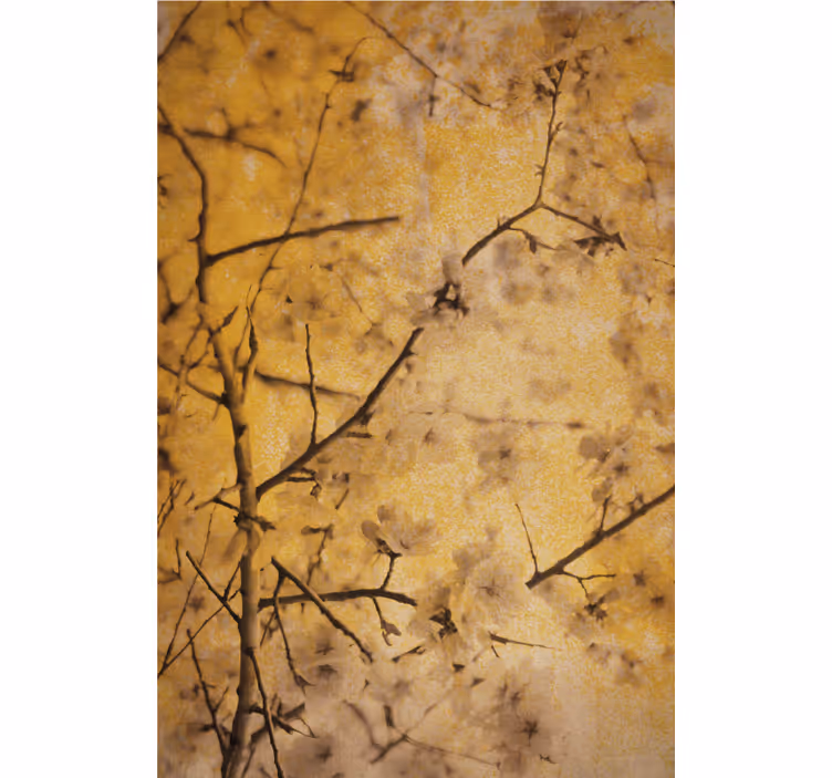 Rollo fenster blumen sakura zweige - TenStickers