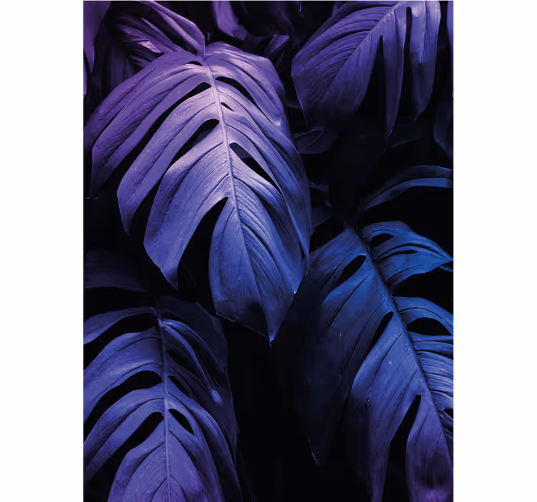 Rollo Fenster Blumen monstera deliciosa laub - TenStickers