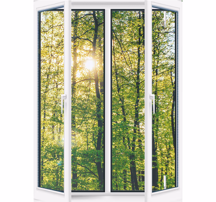 Rollo Fenster Baum sonnenbeschienenes grün - TenStickers