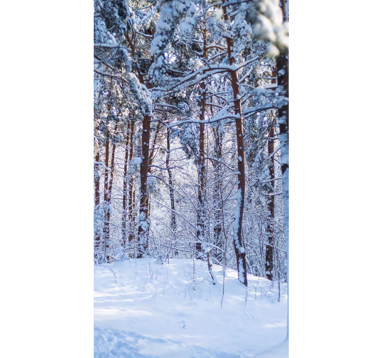 Rollo Fenster Baum verschneiten kiefernwald - TenStickers