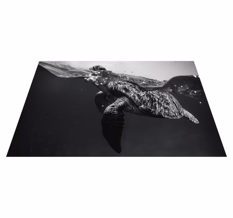 Monochrome schwimmende Schildkröte Tischsets - TenStickers