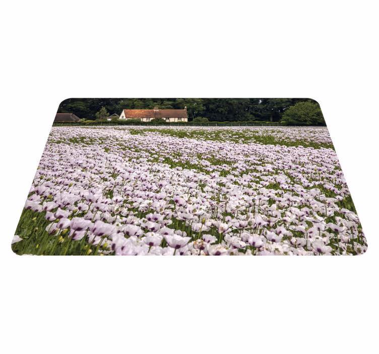 Tischsets originell lavendelfeld - TenStickers