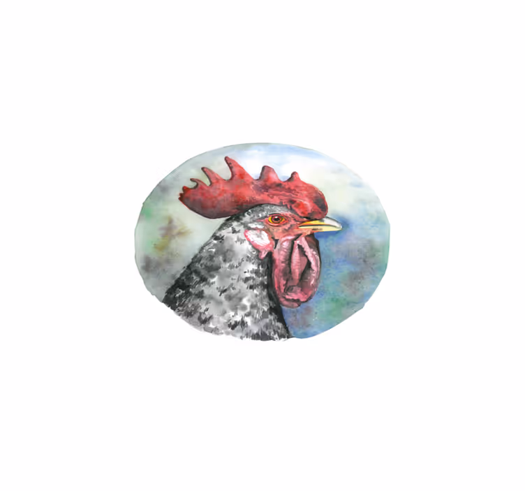 Tischsets originell mit buntem hahnportrait - TenStickers